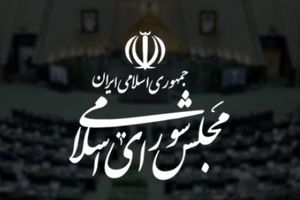 عضو کمیسیون برنامه و بودجه مجلس: بانک اقتصاد نوین اضافه‌برداشت ندارد