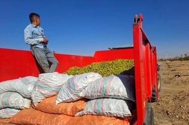 شتاب‌گیری در اجرای پروژه های منظر سازی و خدمات شهری در منطقه آزاد ماکو