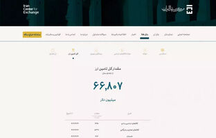آقای «شیخ» اطلاعات غلط ندهید/ ۷۷ درصد ارز کشور را صنایع مصرف کردند