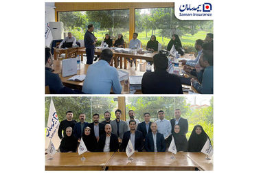استراتژی فروش بیمه های خرد، راز پیشرفت بیمه سامان است