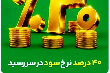 نقش نوشتی از طرح «بیمه های زندگی و سرمایه گذاری پروژه محور»