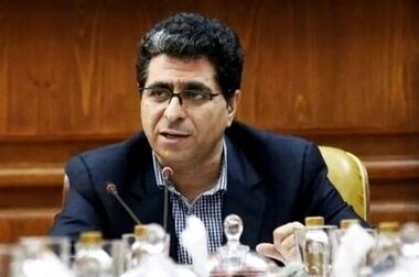 سعیدی: هیچ خانه‌ای در ایران خالی از ۱۶۴۱ محصول تولیدی در شستا نیست