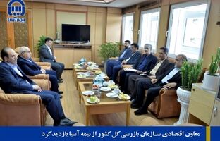 معاون اقتصادی سازمان بازرسی کل کشور از بیمه آسیا بازدید کرد