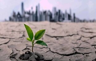 زنگ خطر خشکسالی در تهران؛ وقتی مصرف، از ذخایر پیشی می‌گیرد