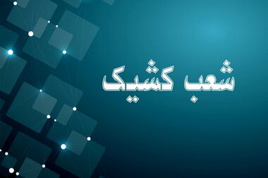 بانک توسعه صادرات ایران، پشتیبان تولید و صادرات صنایع راهبردی