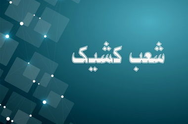 بانک توسعه صادرات ایران، پشتیبان تولید و صادرات صنایع راهبردی