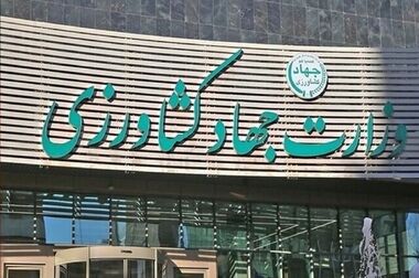 توزیع کالا‌های اساسی به طور مستمر در بازار/نیازی به خرید هیجانی مواد غذایی نیست