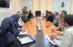 بررسی راهکارهای شتاب‌بخشی به پروژه‌ برگردان فیبرنوری کرمانشاه با حضور معاون تنظیم مقررات مخابرات ایران