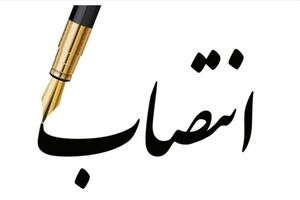 سرپرست مرکز ملی مولدسازی دارایی‌های دولت منصوب شد