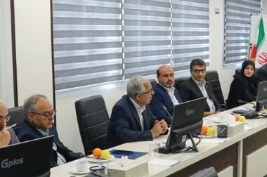 نشست کمیسیون تخصصی مالی - سرمایه‌گذاری سندیکای بیمه‌گران ایران برگزار شد