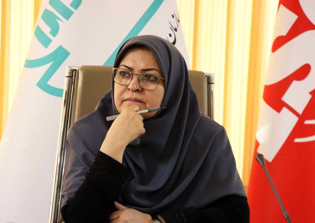 ارتقای توانمندی شرکت‌های بازرسی درحوزه استاندارد ضروری است