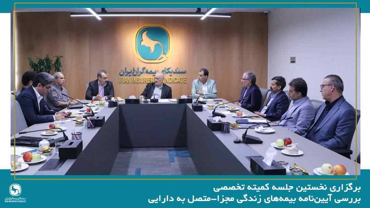 برگزاری نخستین جلسه کمیته تخصصی بررسی آیین‌نامه بیمه‌های زندگی مجزا-متصل به دارایی