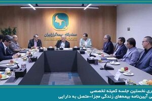 برگزاری نخستین جلسه کمیته تخصصی بررسی آیین‌نامه بیمه‌های زندگی مجزا-متصل به دارایی