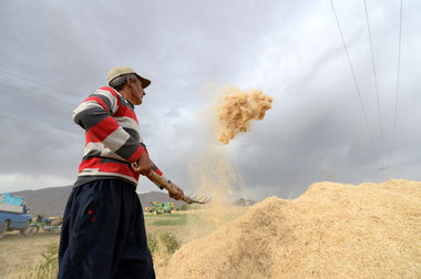 راه‌های نفوذ در هیات‌های تشخیص مطالبات تامین اجتماعی بسته می‌شود