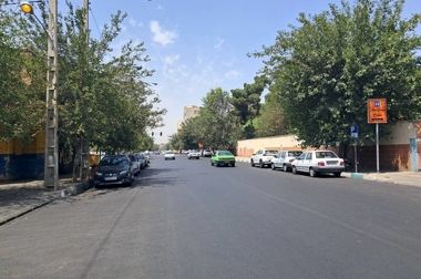 کاشت ۶۰ اصله درخت پالم و یاس هلندی در بلوار بهشت زهرا (س) منطقه ۱۹