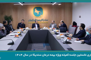 برگزاری نخستین جلسه کمیته ویژه بیمه‌ درمان سندیکا در سال 1404