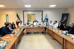 رفع نواقص و هم‌افزایی کنسرسیوم، شرط تحقق تولید پایدار گاز