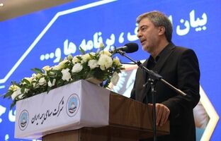 ۷۰ درصد سرمایه صنعت بیمه کشور در اختیار بیمه ایران است