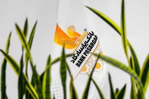 تجلیل بانک پاسارگاد از افتخارآفرینان والیبال کشور در مراسم بیستمین سالروز تأسیس بانک