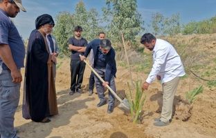  پویش کاشت و وقف ۱۴ هزار نخل در ۶ استان کشور آغاز شد