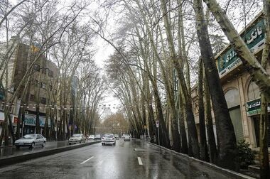 نصب ۴۰۰  المان حجمی و نوری در معابر و بوستان های منطقه یک