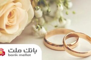 بانک ملت در رتبه نخست پرداخت تسهیلات ازدواج و فرزندآوری قرار گرفت