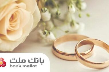 فروش ارز به اشخاص حقوقی در شعب منتخب بانک ملت