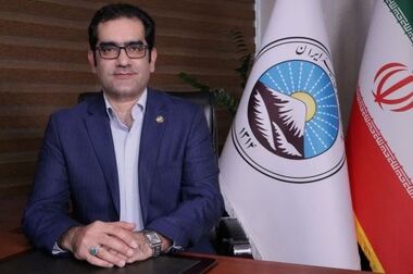 پیام تبریک مدیر عامل بیمه ایران به مناسبت هفته بسیج