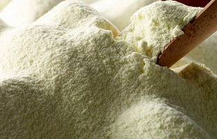 رشد 68 درصدی تامین ارز واردات «شیرخشک»