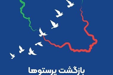 نیروی انسانی، سرمایه ماندگار برند بیمه ایران