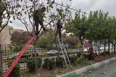 مدارس منطقه2 صاحب خانه  محیط زیست می شوند