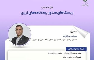 کارگاه آموزشی با عنوان: «ریسک‌ های صدور بیمه ‌نامه‌ های ارزی»