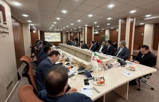 بررسی وضعیت پیشرفت پروژه گندله‌سازی کردستان و پروژه بخار نیروگاه سمنان در هلدینگ «ومعادن»