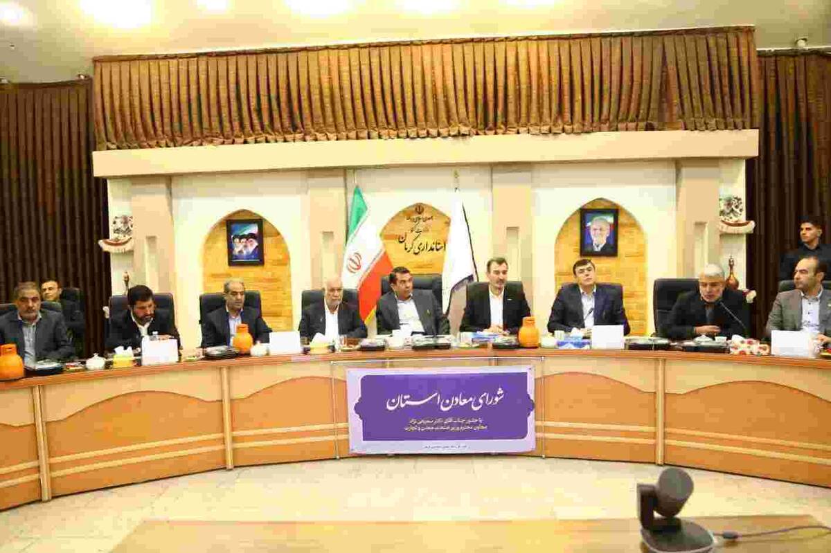 ایمیدرو برای سرمایه گذاری در زیرساخت‌ معادن محدودیتی ندارد
