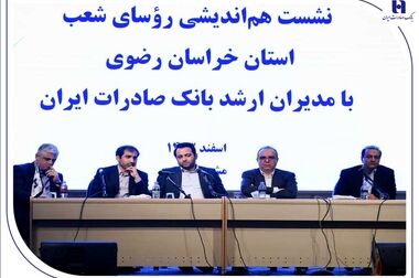 ثروت‌سازی بانک صادرات ایران با بهبود کیفیت درآمدها