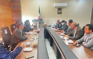 احیای معادن راکد استان سمنان/ بازگشت واحدهای کوچک مقیاس به چرخه تولید