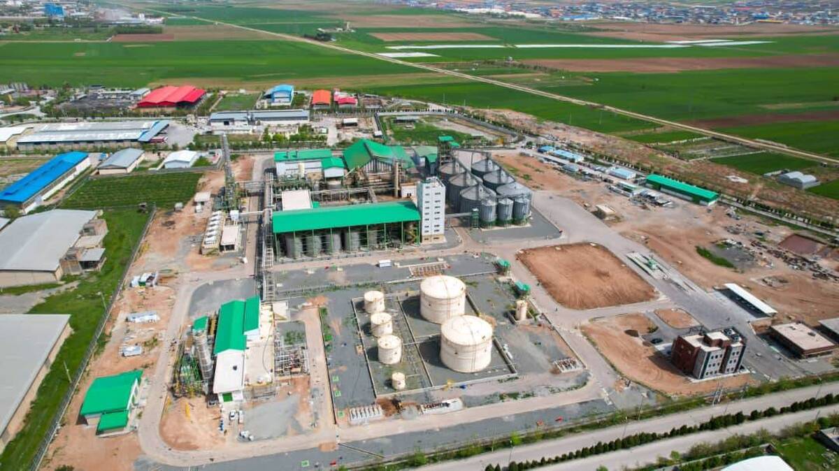 ثبت رشد 280 درصدی تعداد تولید شگستر و شناسایی درآمد 62 میلیاردی
