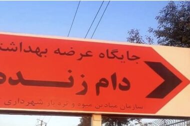 لاشه دام‌های ذبح شده، توسط دامپزشکان بررسی می‌شود
