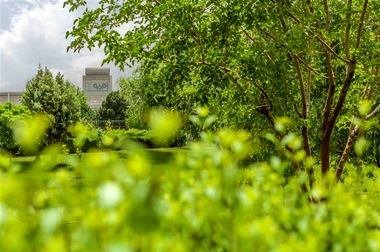 خسارت روزانه فولاد مبارکه؛ حداقل ۹۰ میلیارد تومان