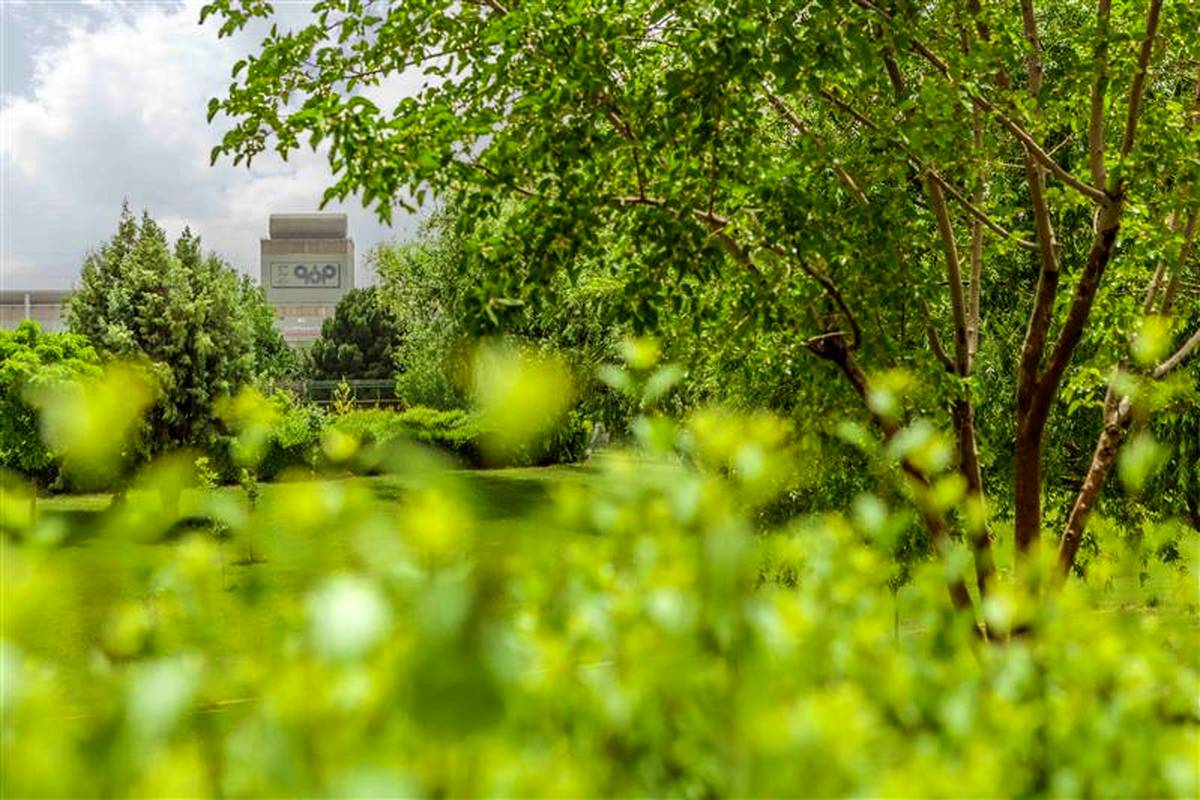 صنعت فولاد قربانی بی‌ثباتی در تأمین و نرخ‌گذاری حامل‌های انرژی