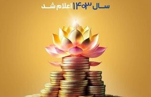 سود مشارکت در منافع سال ۱۴۰۳ بیمه پاسارگاد اعلام شد