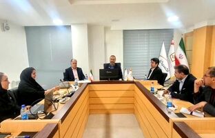 برگزاری کارگاه آموزشی آشنایی با پلت‌فرم «تیم بانک» برای کارکنان شعب استان تهران بانک صنعت و معدن