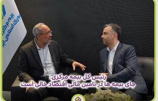 جای بیمه ها در تامین مالی اقتصاد خالی است