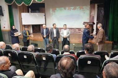 درختان منطقه2 آماده خواب زمستانی شد