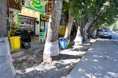 موکب محبان الرضا (ع) مرز شلمچه به مرحله نهایی آماده سازی رسید