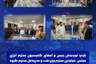 سرپرست شرکت پتروشیمی هنگام با مدیرعامل شرکت ملی صنایع پتروشیمی دیدار کرد