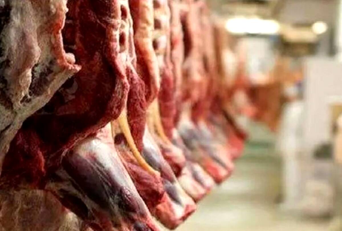 افزایش واردات گوشت قرمز طی روزهای آتی/ کمبودی در ماه رمضان نداریم