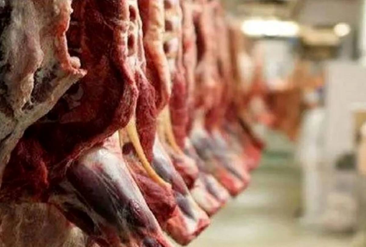 افزایش واردات گوشت قرمز طی روزهای آتی/ کمبودی در ماه رمضان نداریم