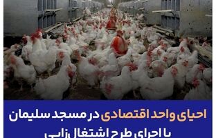 احیای واحد اقتصادی در مسجد سلیمان  با اجرای طرح اشتغال زایی