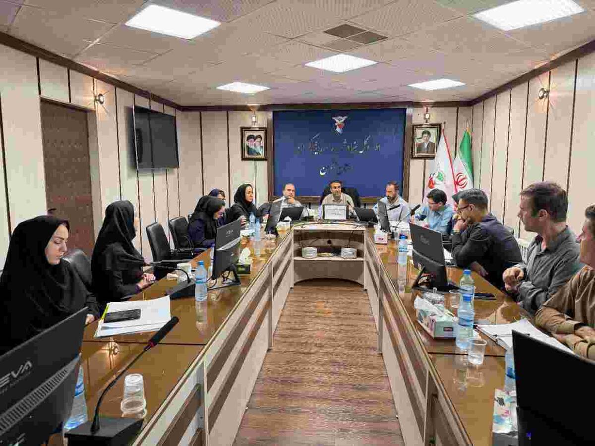تأکید بر تسهیل ارائه خدمات درمانی به ایثارگران در نشست مشترک بیمه دی و بنیاد شهید استان زنجان